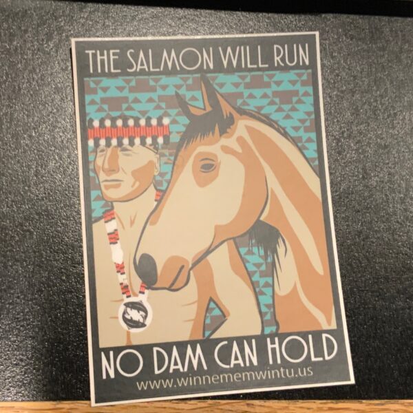 Salmon OXDX sticker